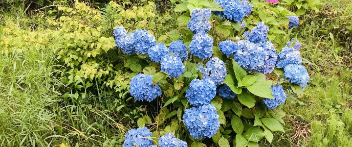 一年経ってる。。 一年経ってる。。